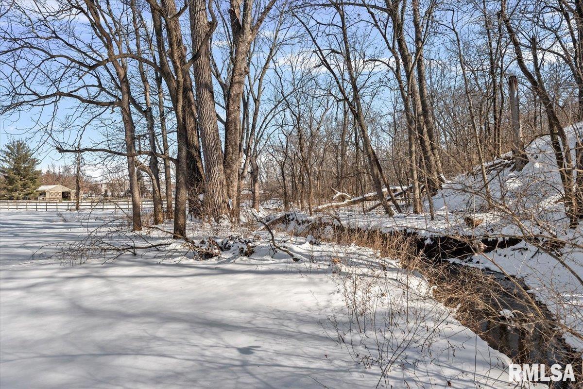 4606 Spaulding Orchard Road Springfield, IL 62711 - Photo 38 of 38