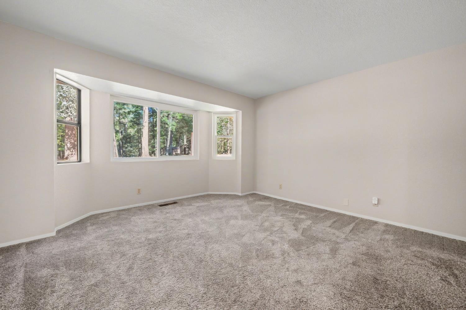 23781 Golden Ridge Drive Volcano, CA 95689 - Photo 24 of 50 an empty room with windows