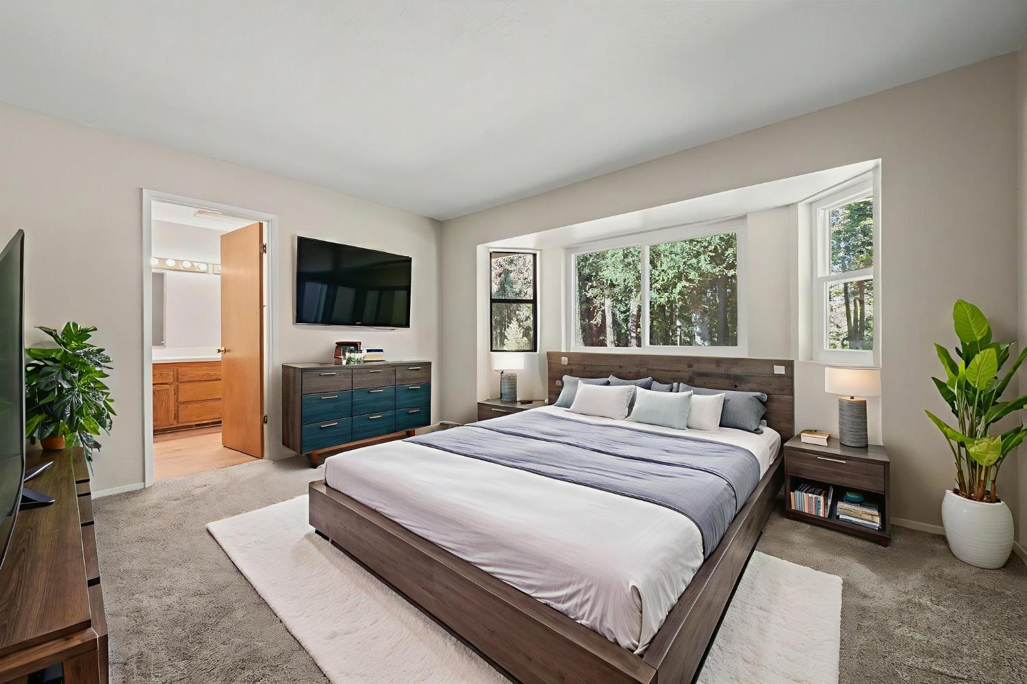 23781 Golden Ridge Drive Volcano, CA 95689 - Photo 27 of 50 a spacious bedroom with a large bed a flat tv screen and a potted plant