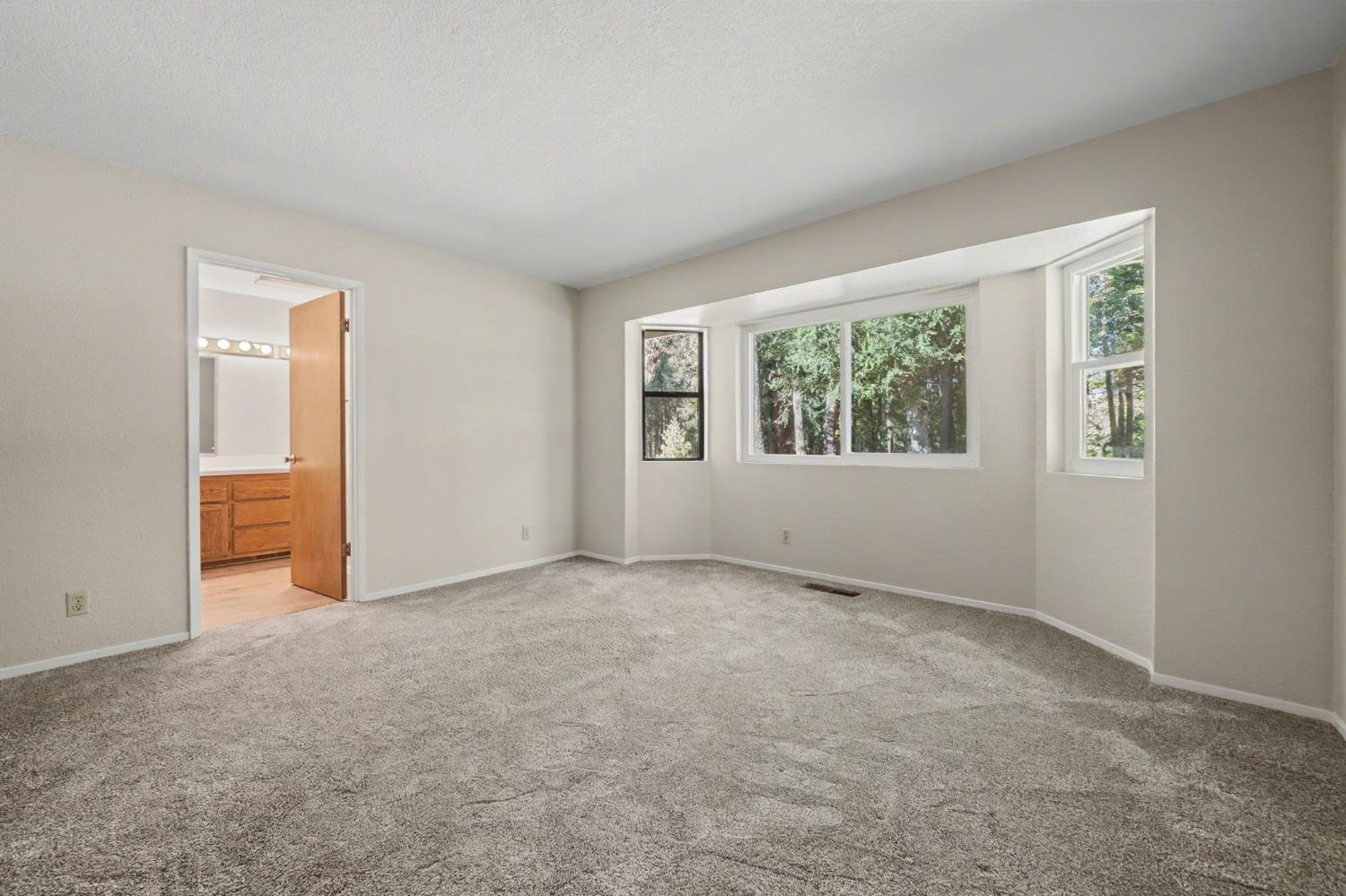 23781 Golden Ridge Drive Volcano, CA 95689 - Photo 28 of 50 an empty room with windows