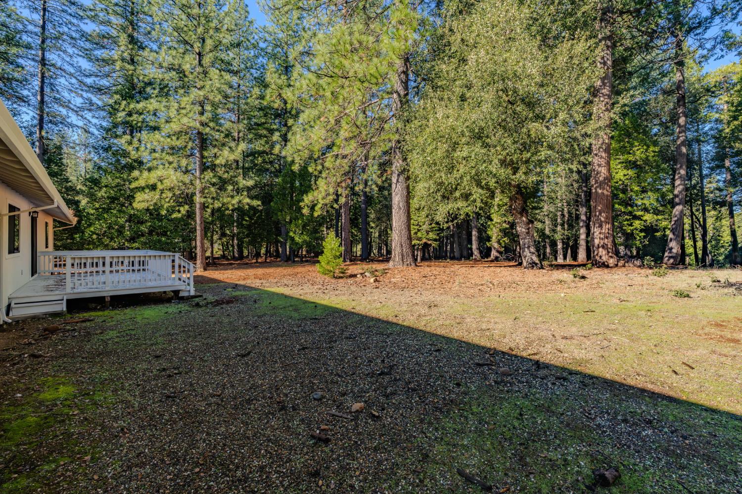 23781 Golden Ridge Drive Volcano, CA 95689 - Photo 44 of 50 a view of outdoor space with trees