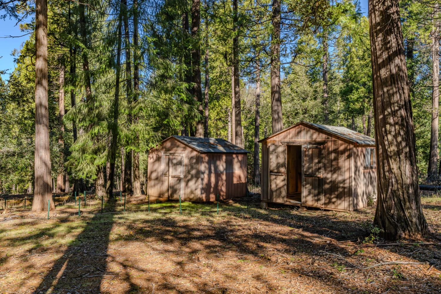 23781 Golden Ridge Drive Volcano, CA 95689 - Photo 45 of 50 a view of a barn with large trees