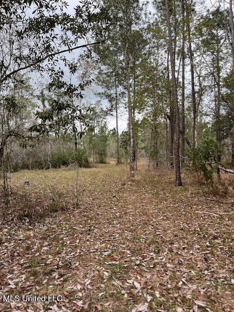 15429 Indian Fork Road Vancleave, MS 39565 - Photo 38 of 63 Trails Abound