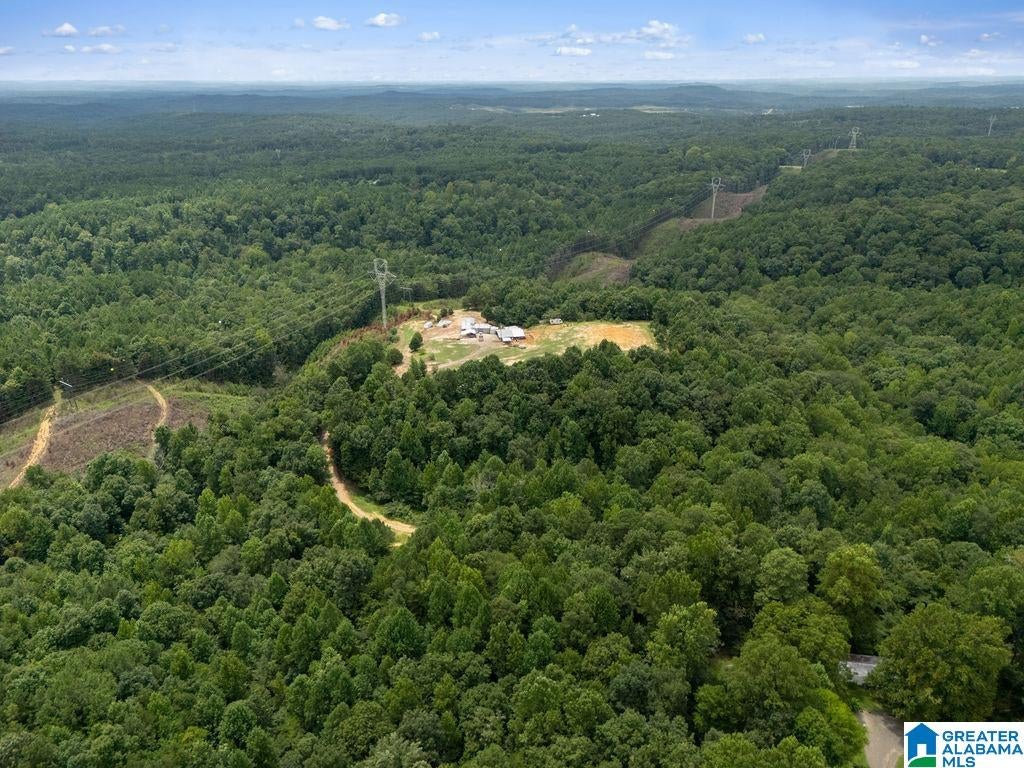 1014 Pumpkin Center Cut Off Road Quinton, AL 35130 - Photo 14 of 17 Gallery Image 14