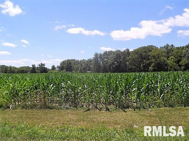 2023 North Quarry Road Trivoli, IL 61569 - Photo 1 of 32