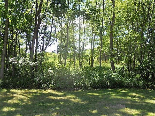 2023 North Quarry Road Trivoli, IL 61569 - Photo 5 of 32