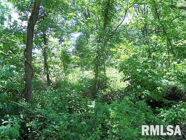 2023 North Quarry Road Trivoli, IL 61569 - Photo 7 of 32