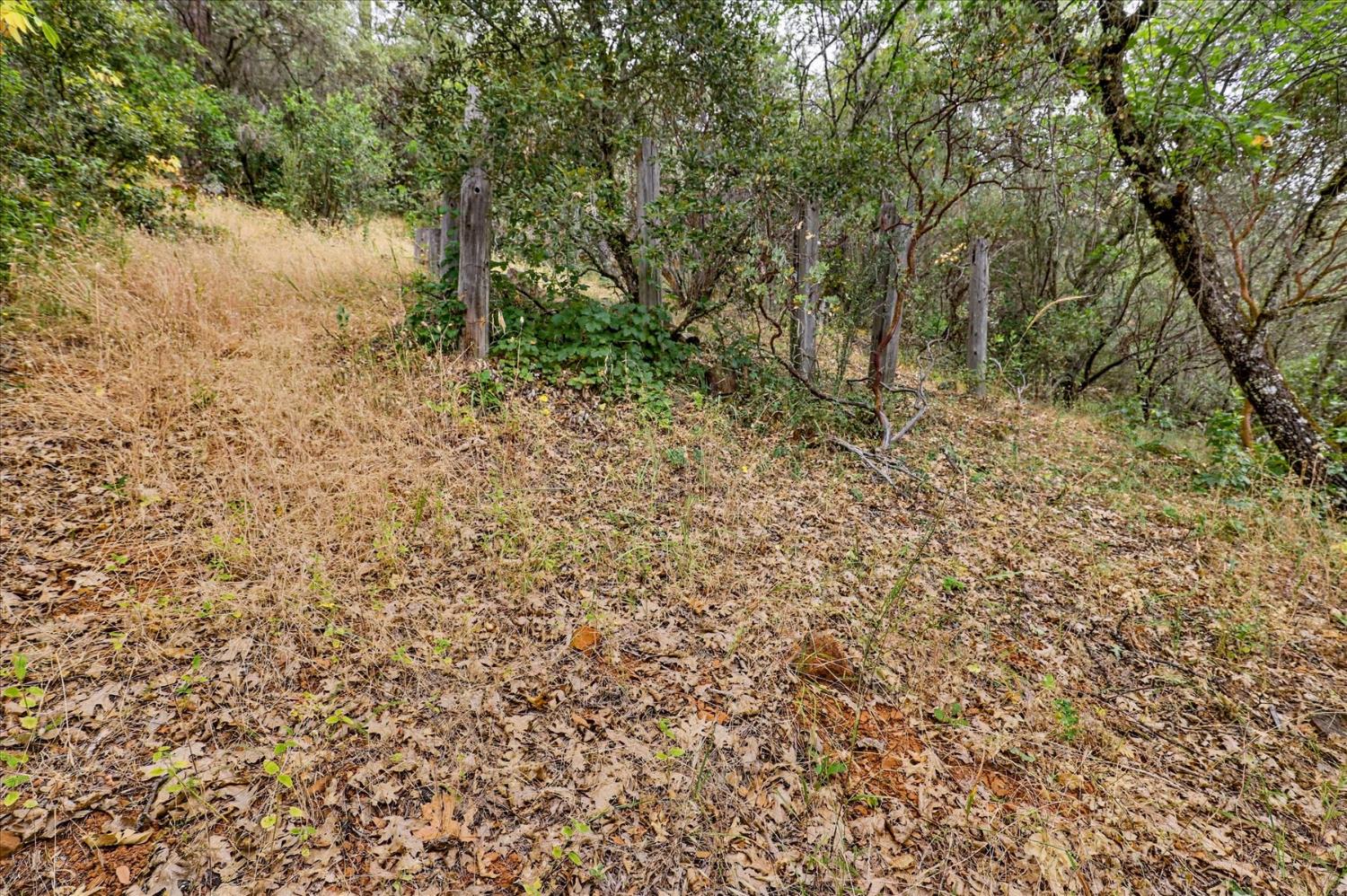 17422 Scopar Road Grass Valley, CA 95949 - Photo 50 of 63