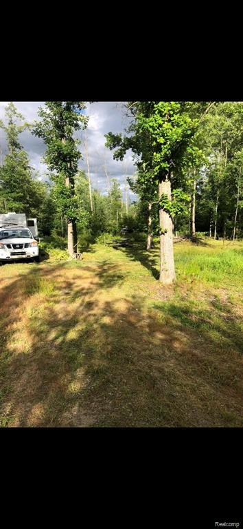 0 North 11 Mile Rd Mount Pinconning, MI 48650 - Photo 2 of 13