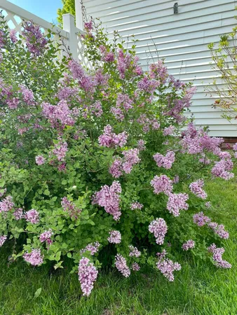 $415,000 | 632 Central Street, Franklin, NH 03235