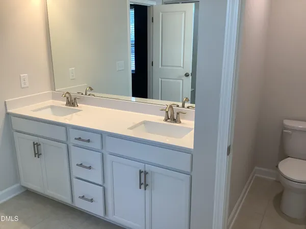 a bathroom with a sink and a toilet