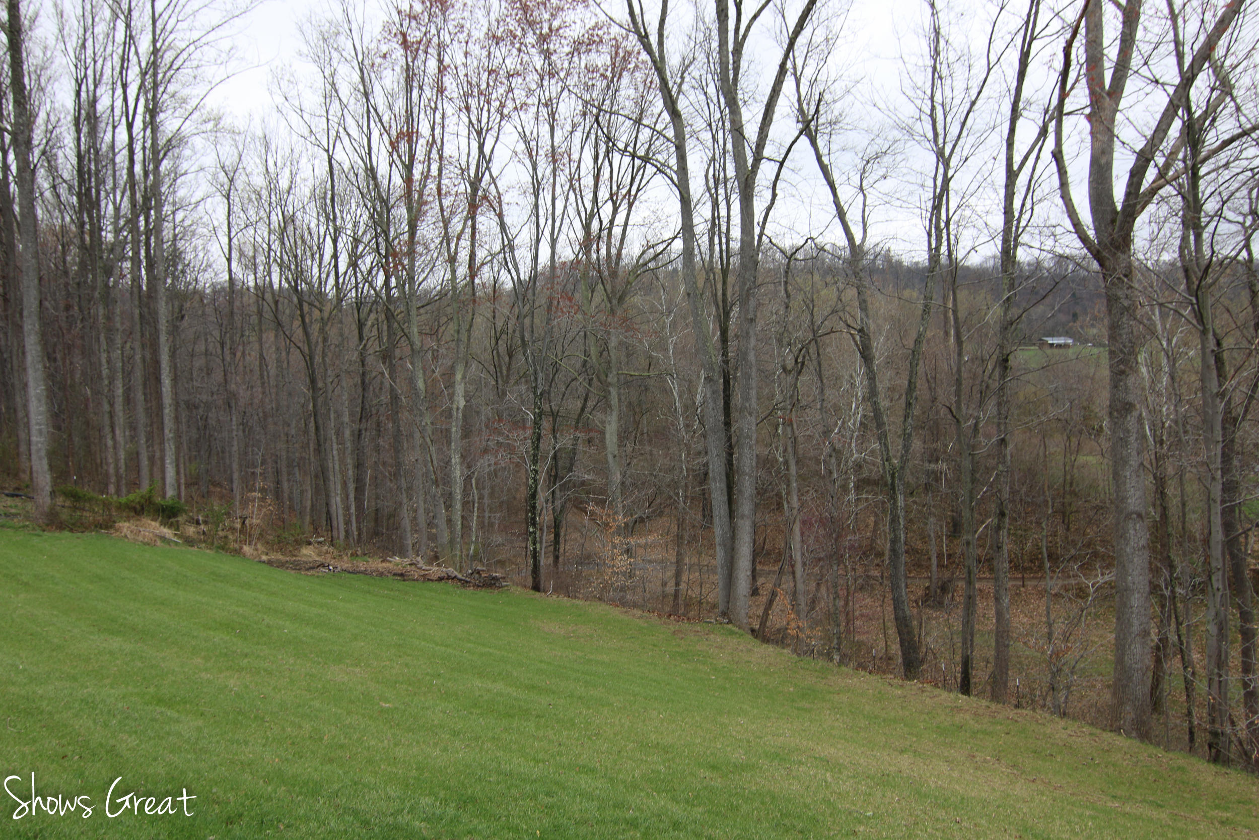 1839 Atkinson Hollow Road Vinton, VA 24179 - Photo 38 of 63 IMG_9737.jpg
