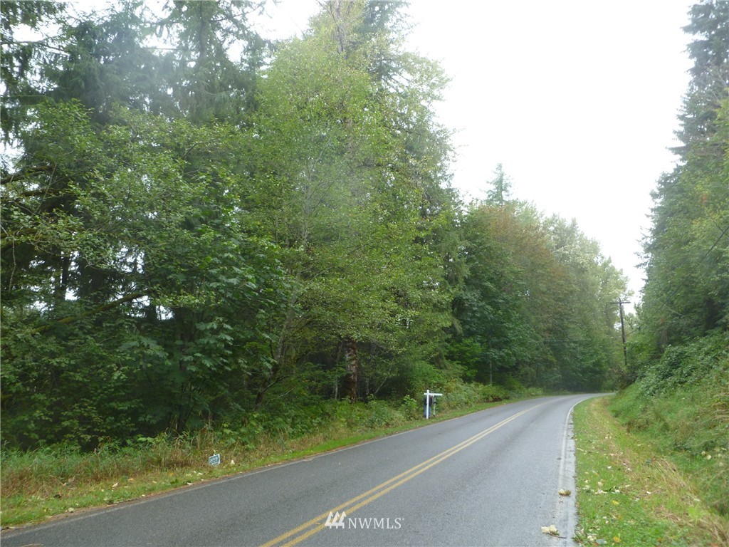 0 Hand Road Monroe, WA 98272 - Photo 2 of 3 Gallery Image 2