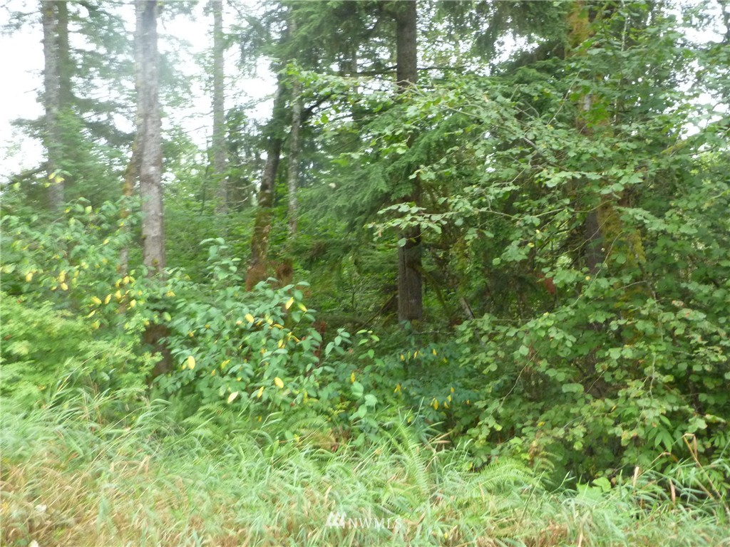 0 Hand Road Monroe, WA 98272 - Photo 3 of 3 Gallery Image 3