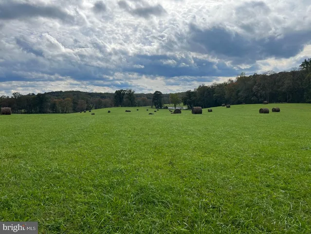 a view of an outdoor space and a yard