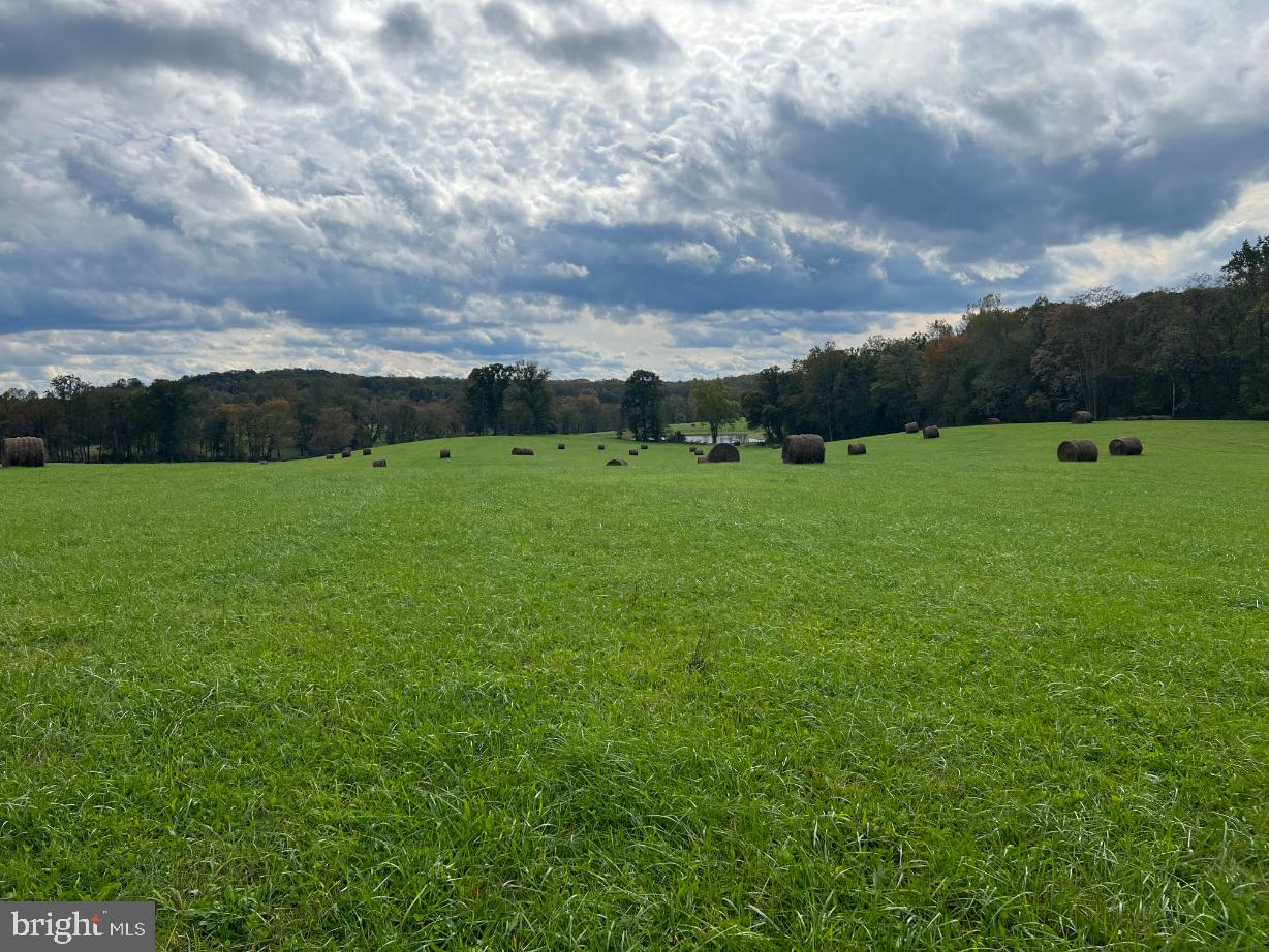 Hawthorne Farm Road Marshall, VA 20115 - Photo 13 of 15 a view of an outdoor space and a yard