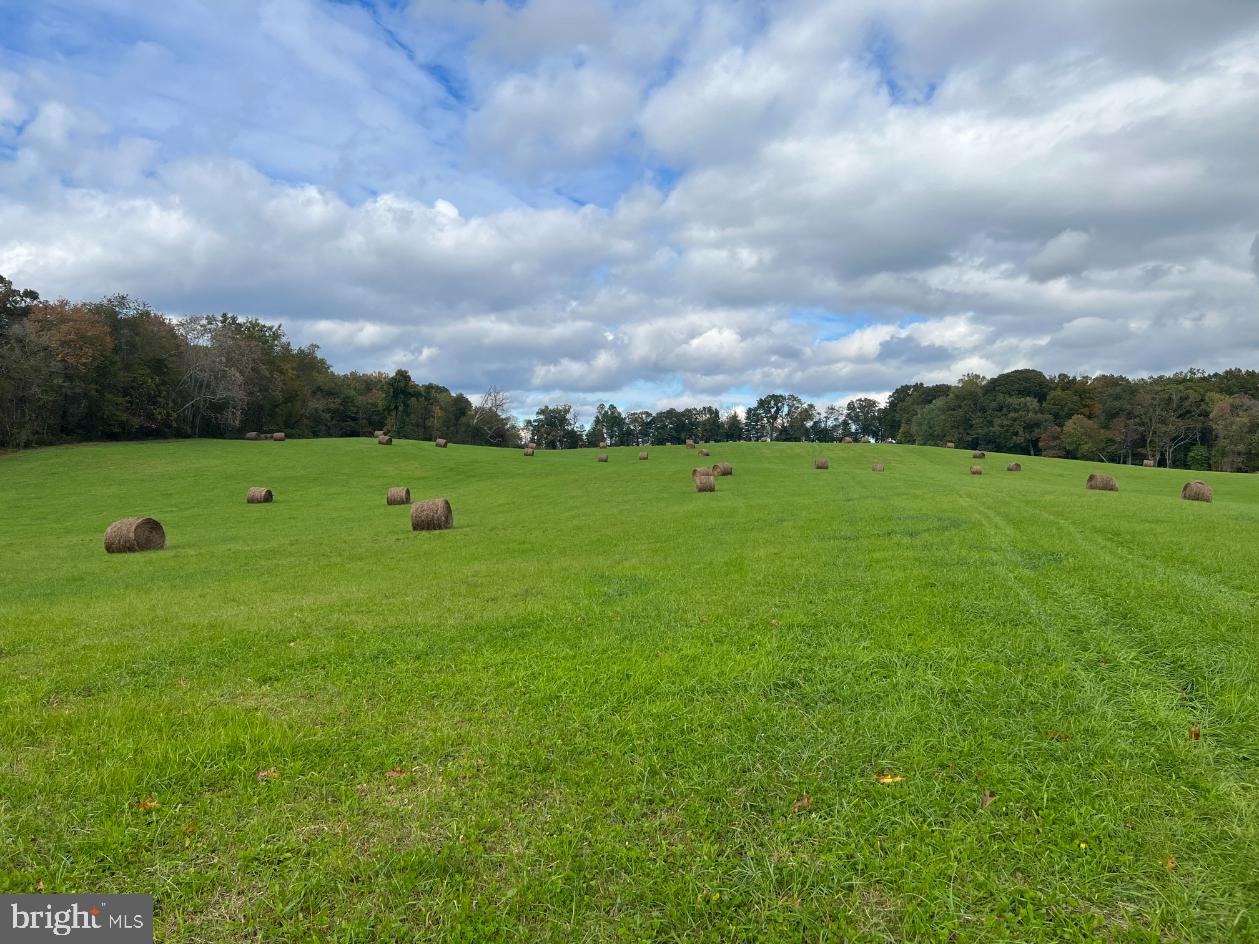 Hawthorne Farm Road Marshall, VA 20115 - Photo 14 of 15 a view of a golf course with a yard