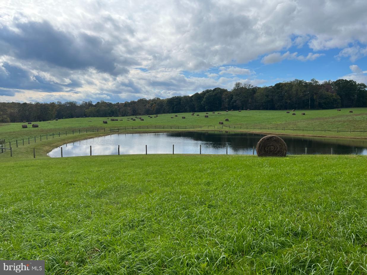 Hawthorne Farm Road Marshall, VA 20115 - Photo 15 of 15 a view of a lake with a big yard