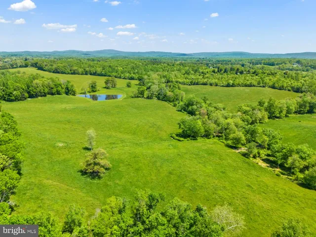 a view of a lush green space