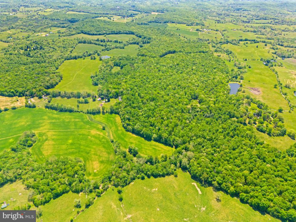 Hawthorne Farm Road Marshall, VA 20115 - Photo 7 of 15 a view of a garden