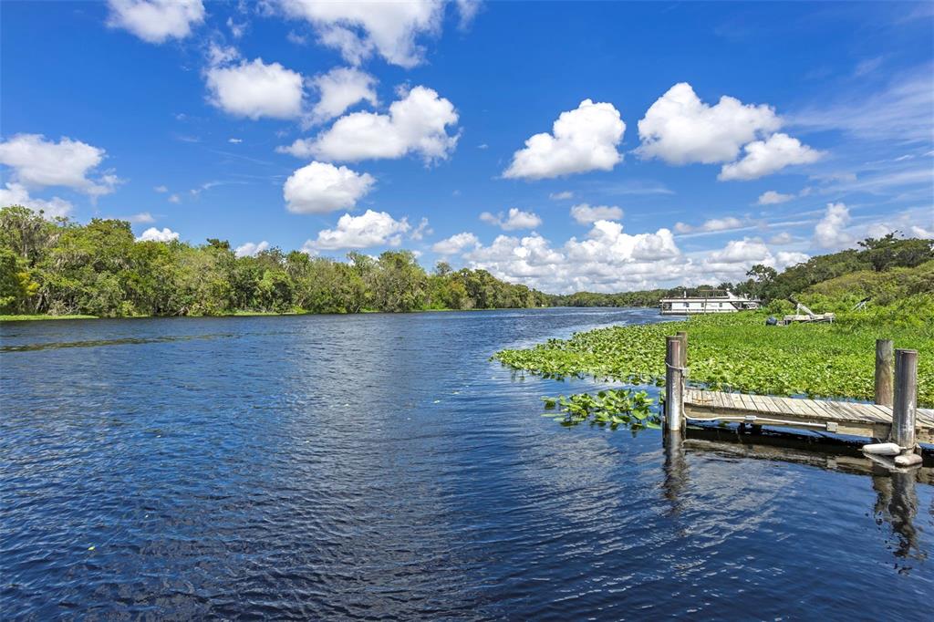2329 River Ridge Road, Unit 15 DeLand, FL 32720 - Photo 33 of 40 a view of a lake from a yard