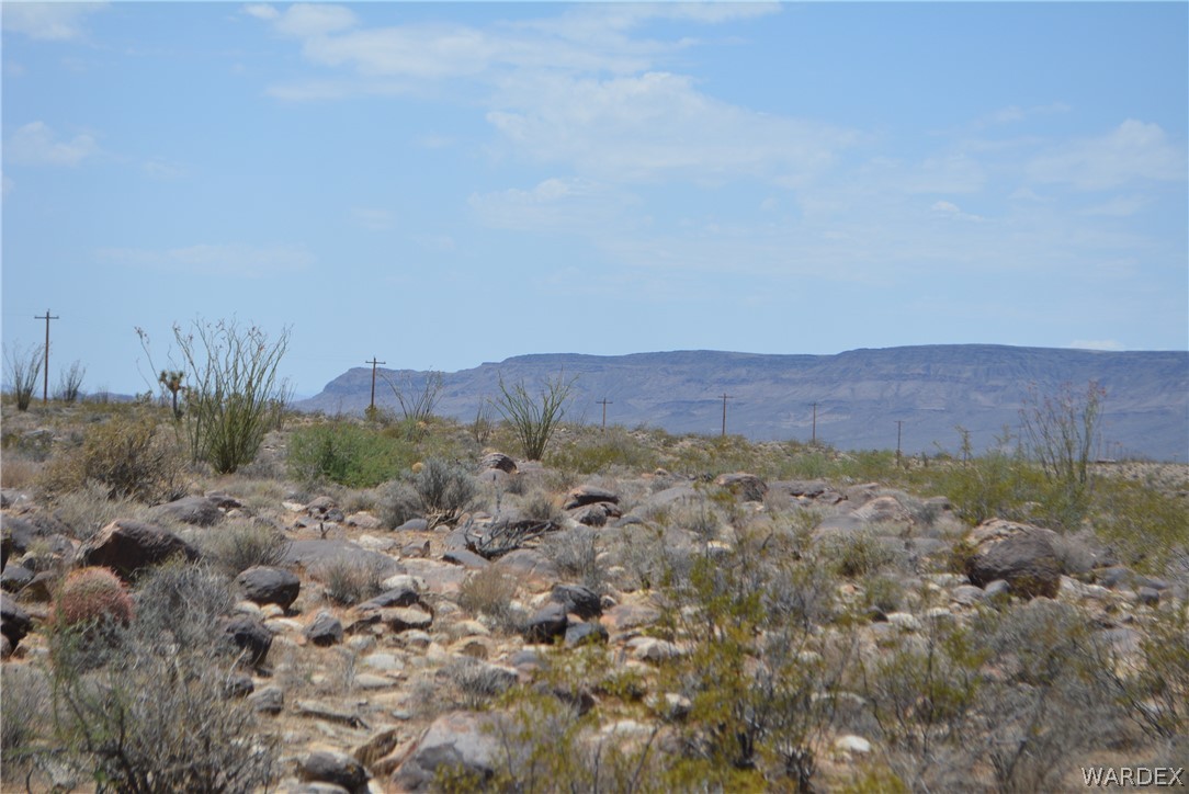208-24-134 Cameron Road Yucca, AZ 86438 - Photo 47 of 86