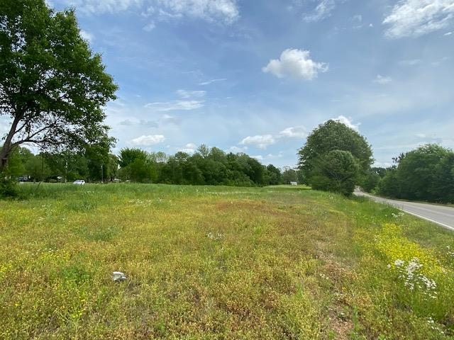 0 Gilchrist Stantonville Road Adamsville, TN 38310 - Photo 4 of 8 Gallery Image 4