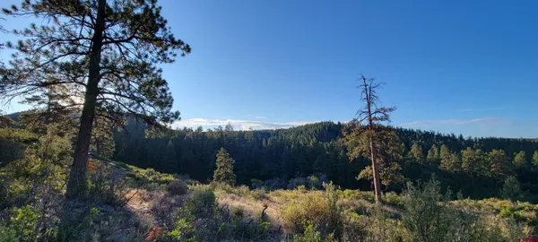$330,000 | Lot 4 Beaver Creek Ranch Drive, Bayfield, CO 81122