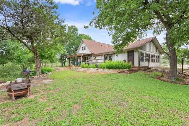 a view of a yard with plants and large trees