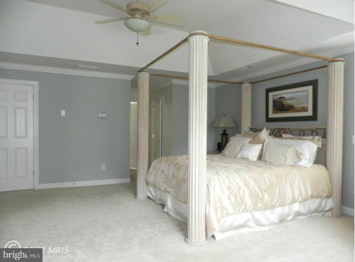 318 Delight Meadows Road Reisterstown, MD 21136 - Photo 17 of 30 MBR features 10' try ceiling
