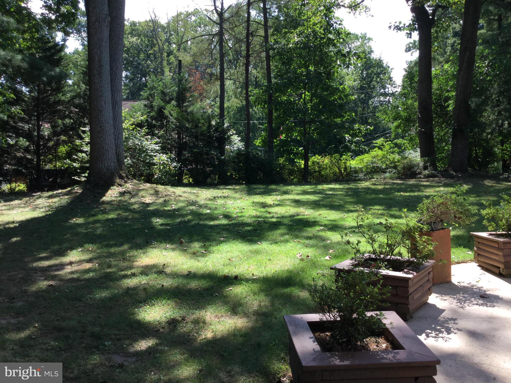 1922 Norvale Road Silver Spring, MD 20906 - Photo 15 of 30 View