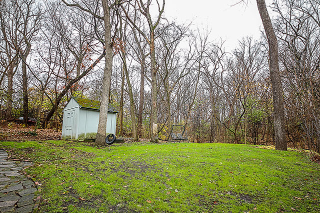 S436 Winfield Road Winfield, IL 60190 - Photo 2 of 23 a garden view with tall trees