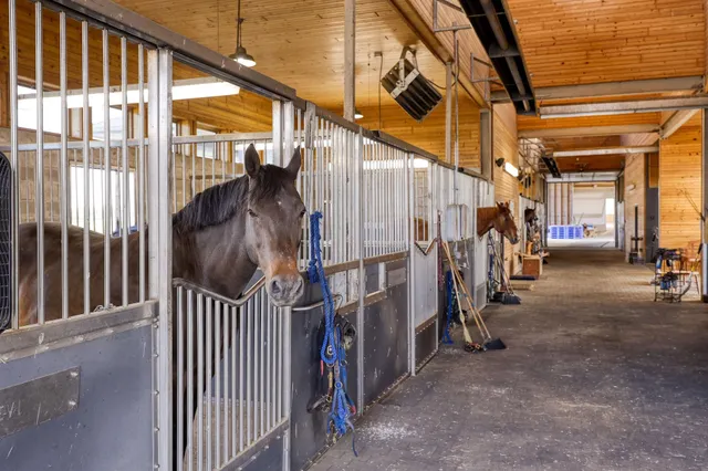 $4,500,000 | 852 County Rd Jg, Mount Horeb, WI 53572