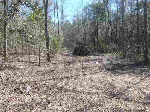 2265 Dean Church Road Ozark, AL 36360 - Photo 4 of 14 Gallery Image 4