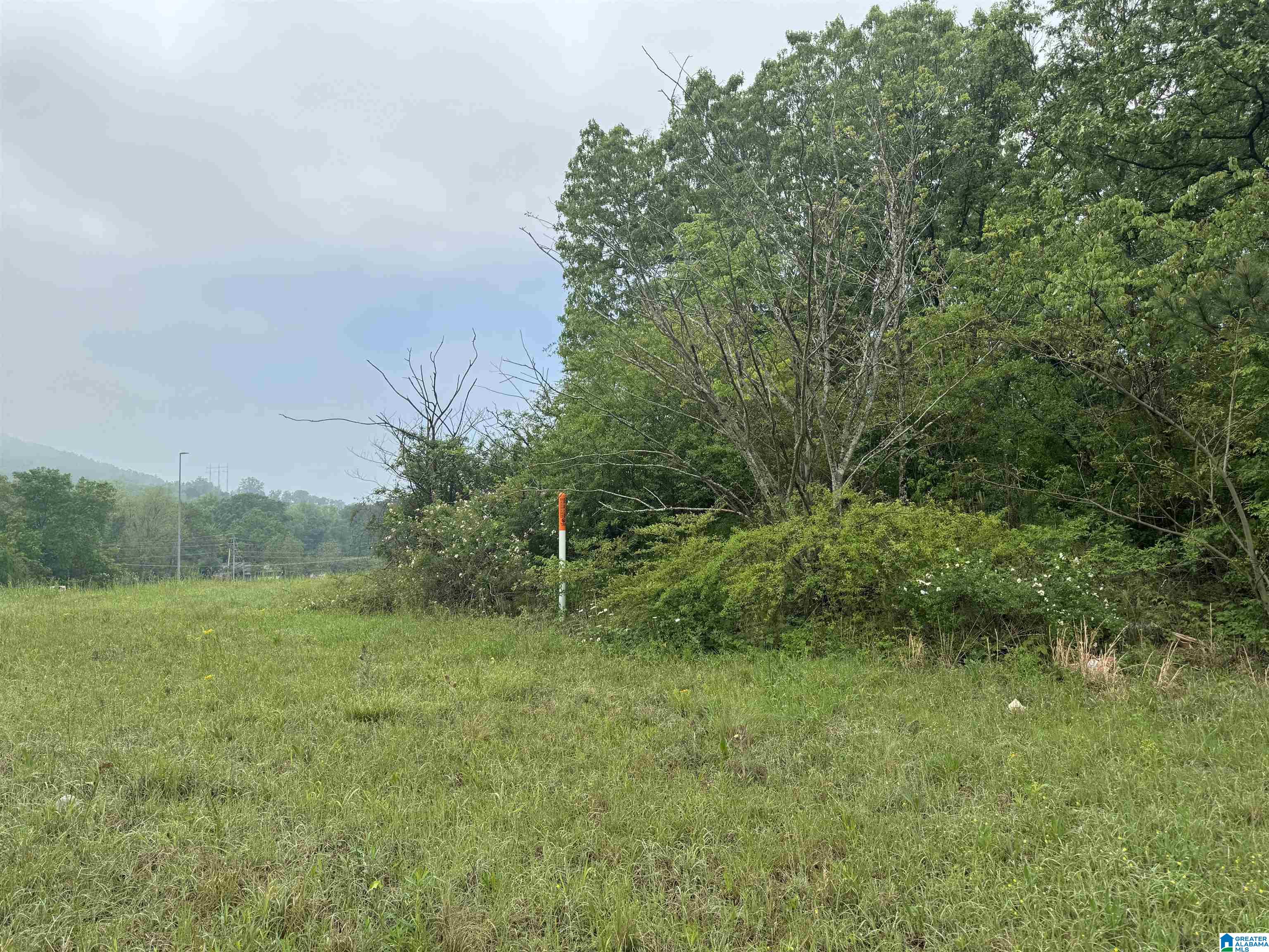 0 Coldwater Road Anniston, AL 36201 - Photo 6 of 25