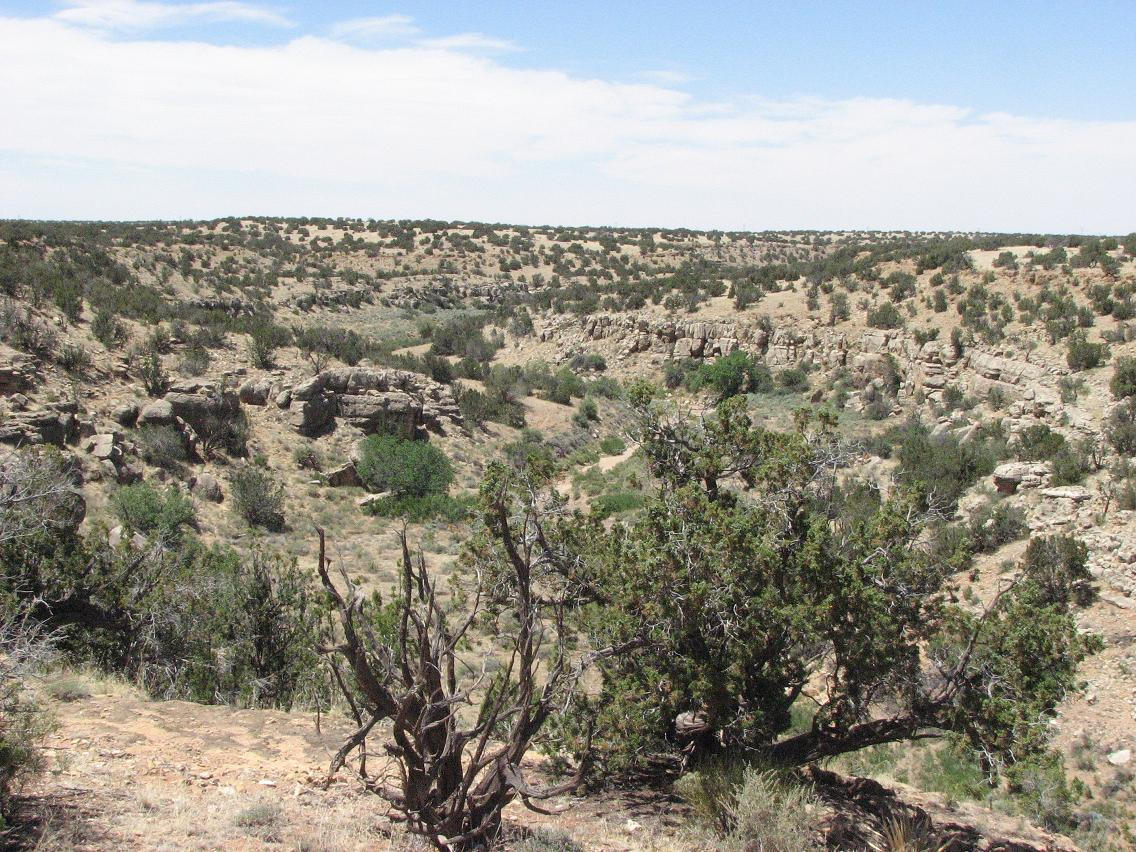 5 T14n R17e:se4 Nw4 Chevelon Ret Heber, AZ 85928 - Photo 11 of 21