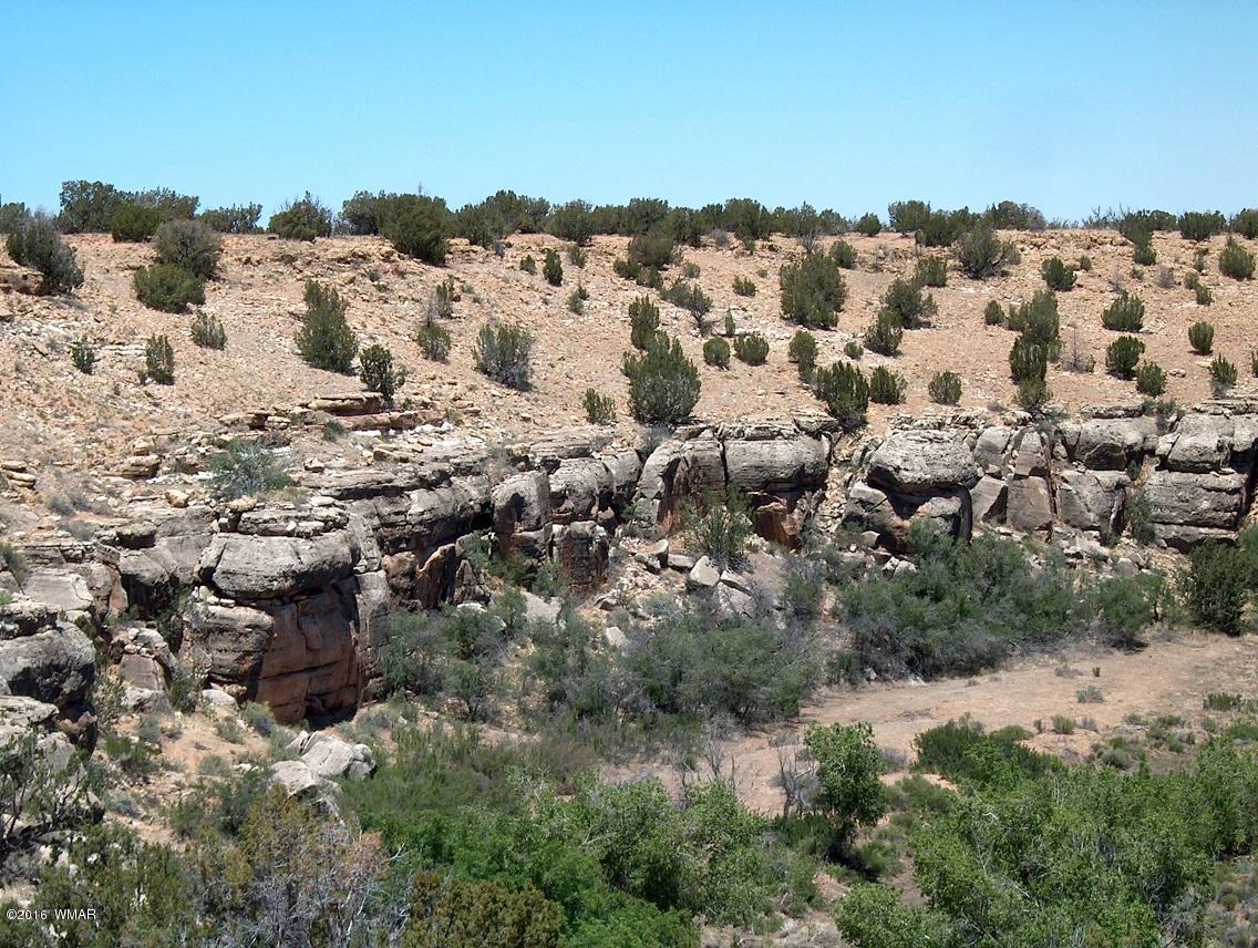 5 T14n R17e:se4 Nw4 Chevelon Ret Heber, AZ 85928 - Photo 14 of 21