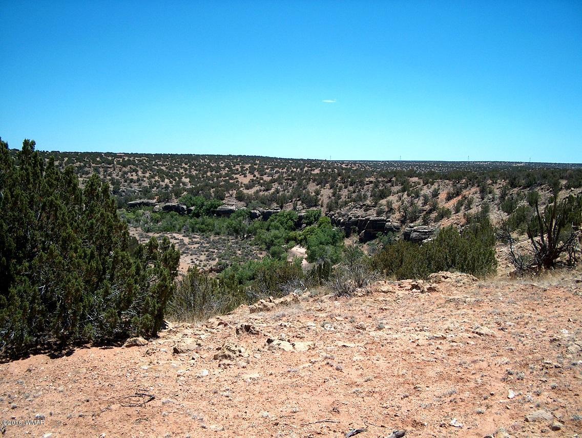 5 T14n R17e:se4 Nw4 Chevelon Ret Heber, AZ 85928 - Photo 20 of 21