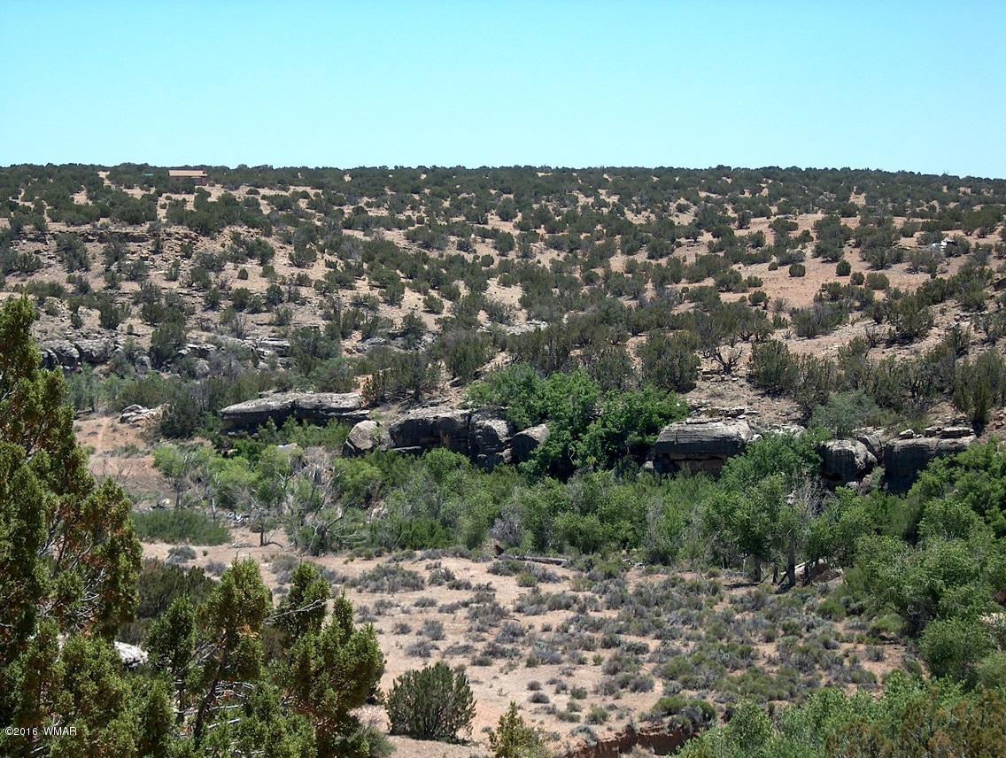 5 T14n R17e:se4 Nw4 Chevelon Ret Heber, AZ 85928 - Photo 21 of 21