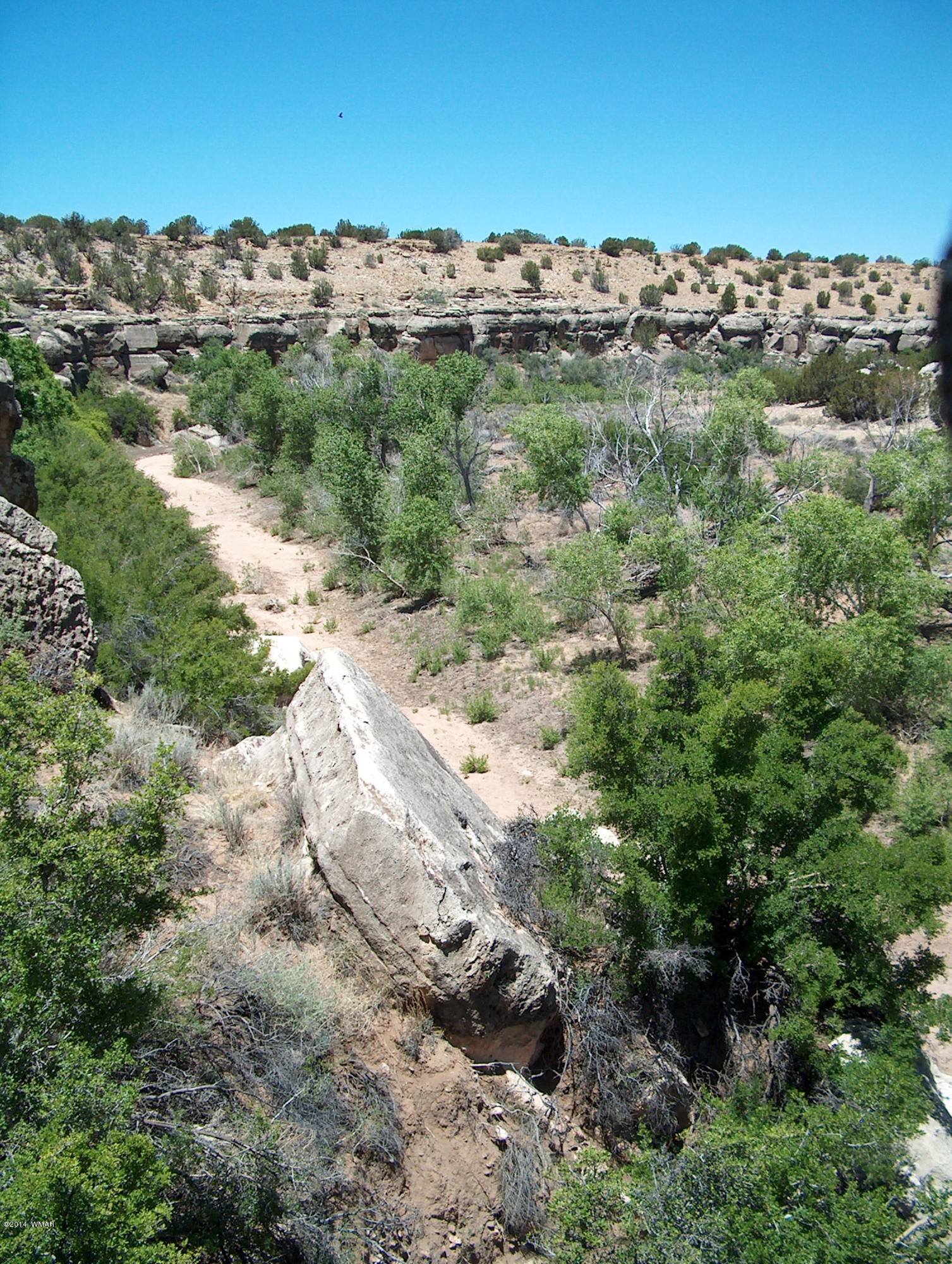 5 T14n R17e:se4 Nw4 Chevelon Ret Heber, AZ 85928 - Photo 7 of 21