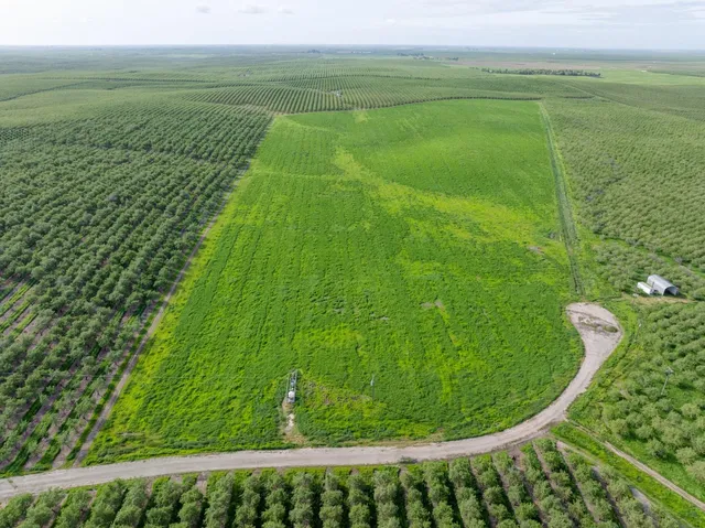 $499,999 | 0 East Keyes Road, Denair, CA 95316