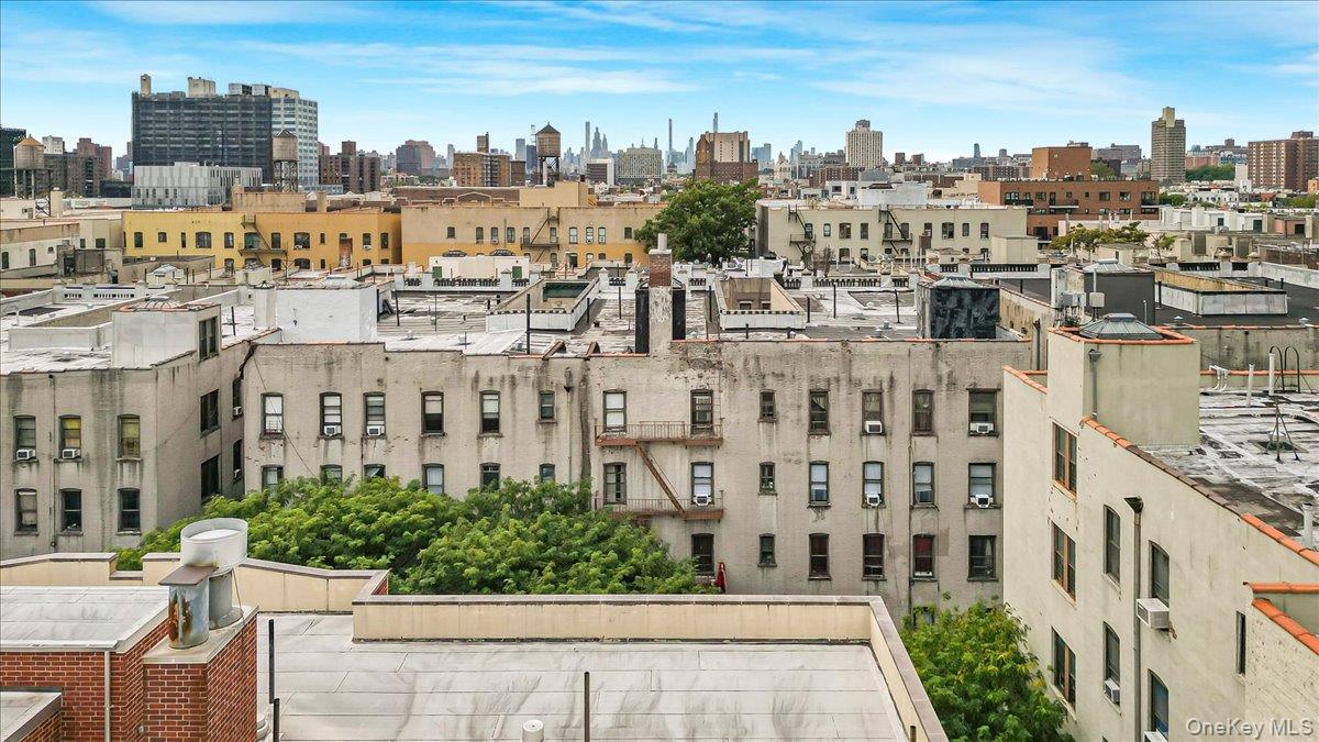 137 West 142nd Street, Unit 4A Manhattan, NY 10030 - Photo 24 of 24 Skyline view