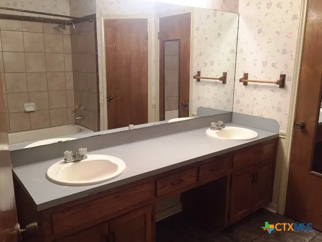 a bathroom with a sink and a mirror