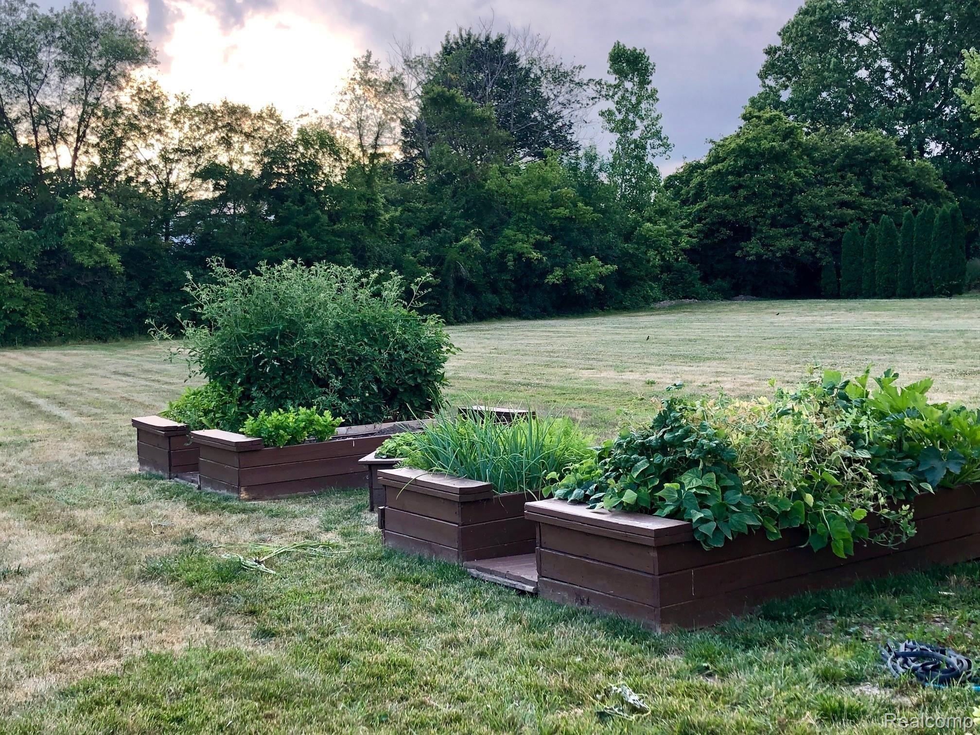 23490 Hall Road Trenton, MI 48183 - Photo 33 of 36 hall raised garden.jpg