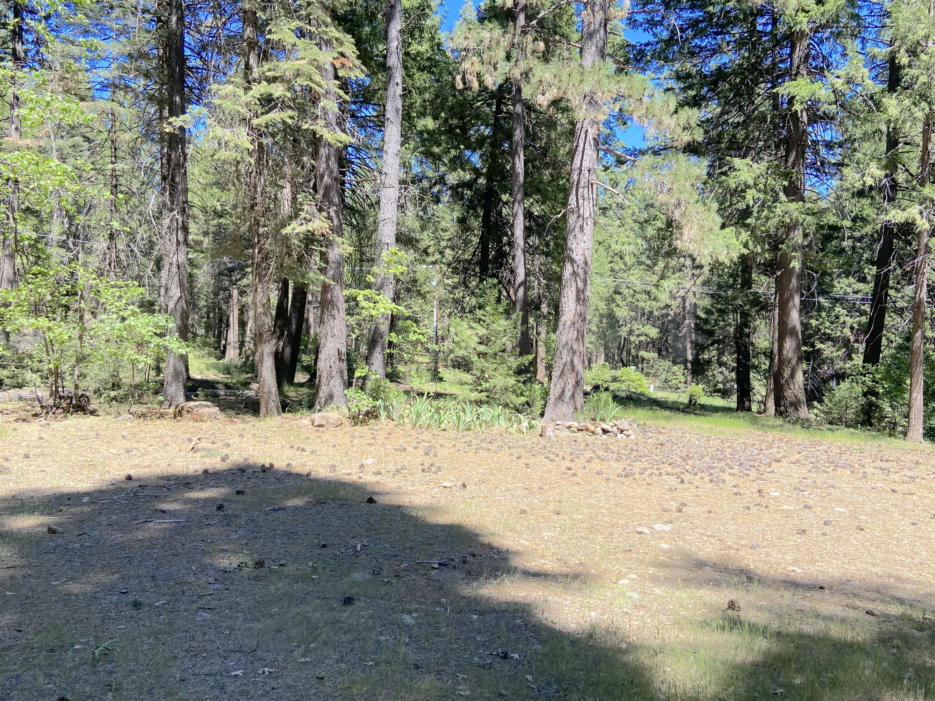 33117 Sites Road Shingletown, CA 96088 - Photo 16 of 23 a view of a out door space