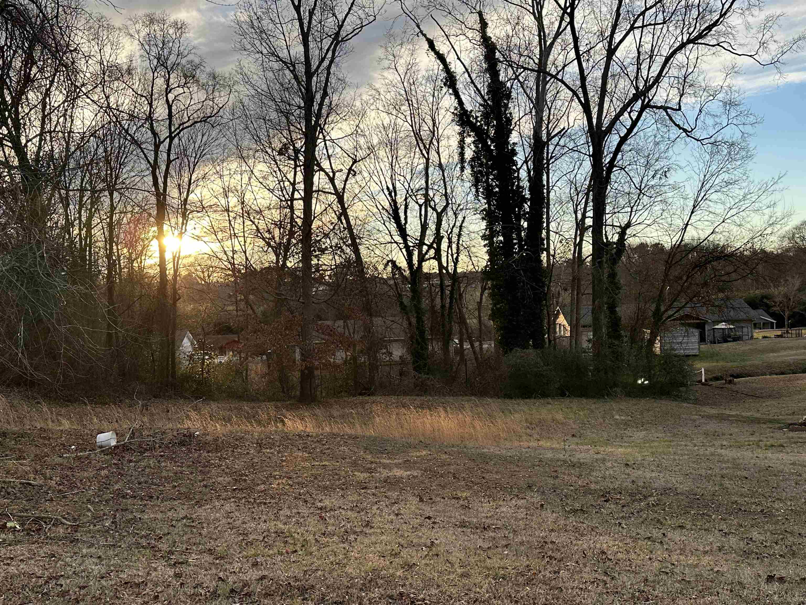 111 Iris Lane Gaffney, SC 29341 - Photo 3 of 11