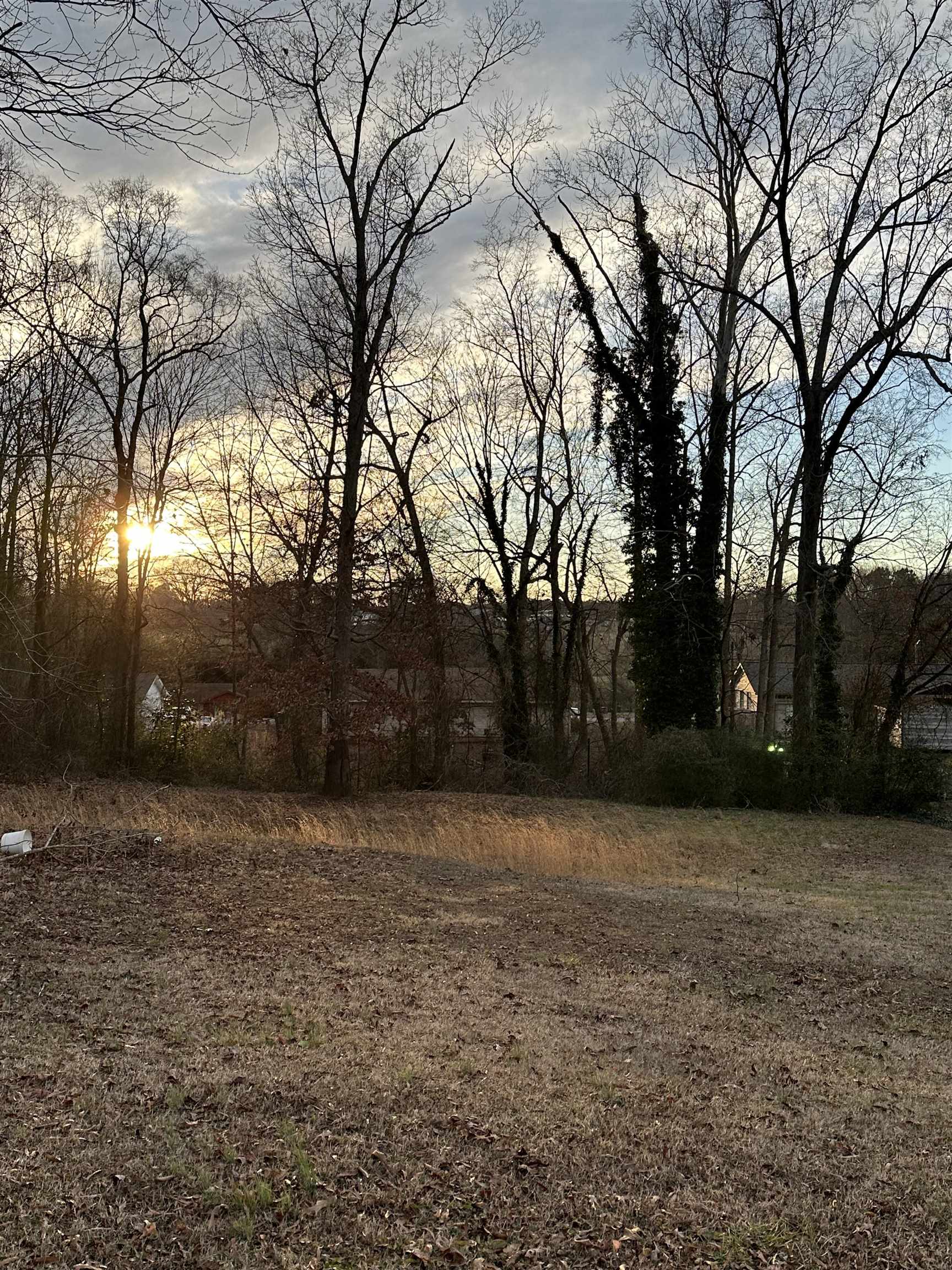 111 Iris Lane Gaffney, SC 29341 - Photo 4 of 11