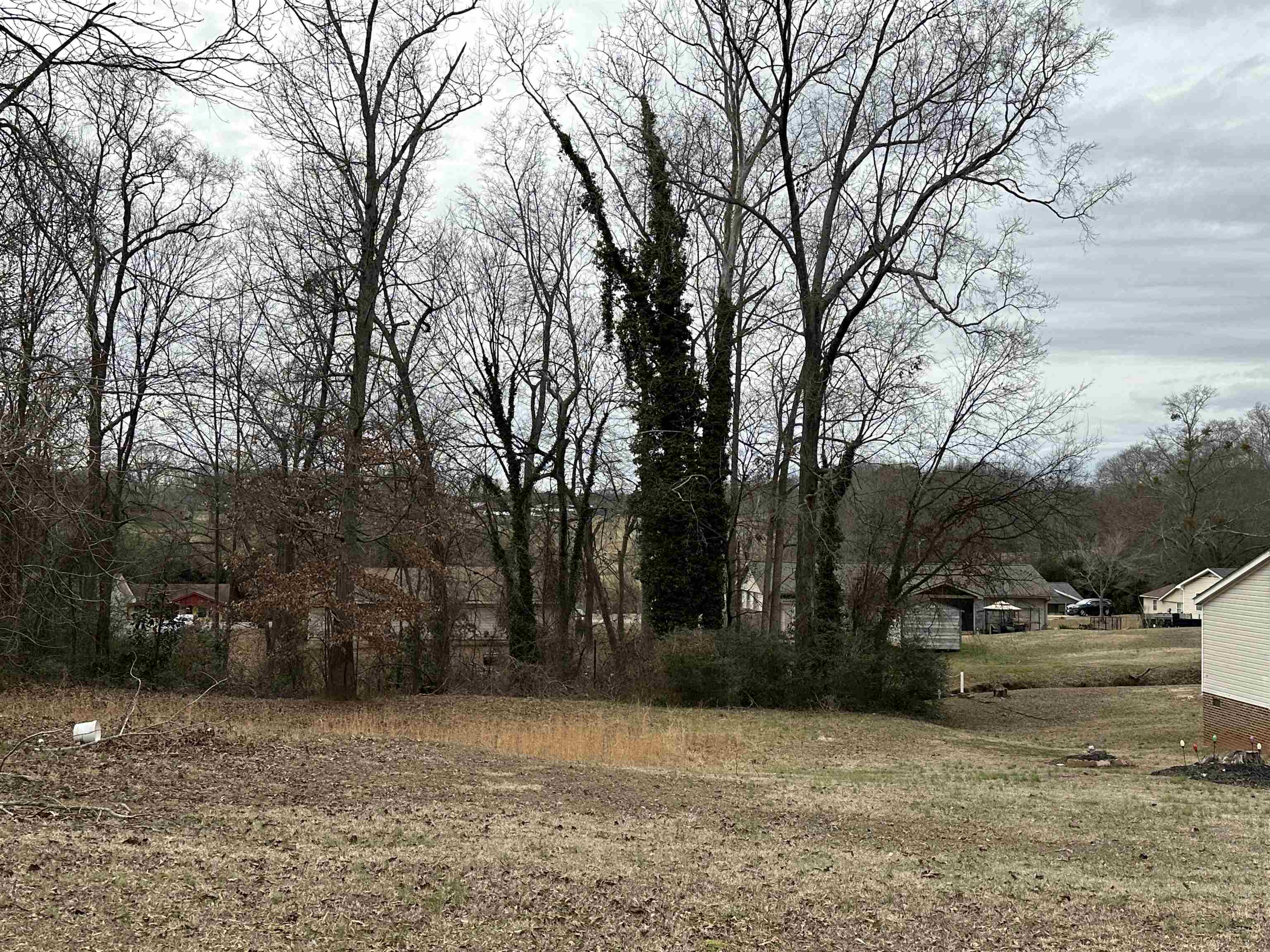 111 Iris Lane Gaffney, SC 29341 - Photo 8 of 11