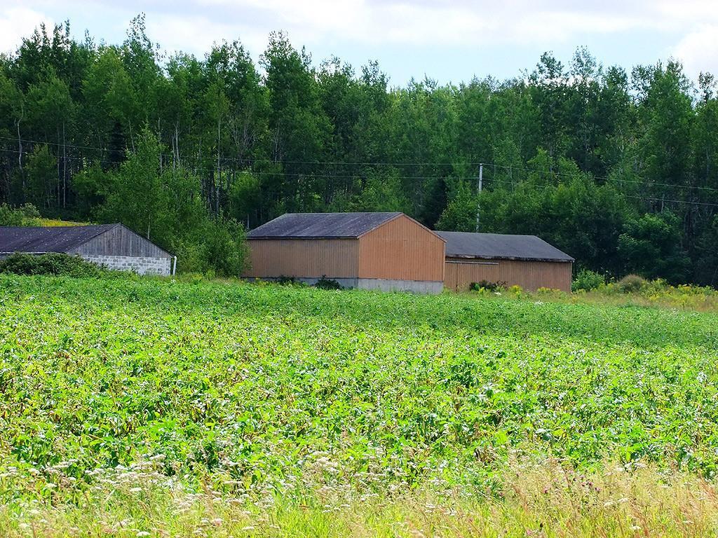 843 Front Ridge Road Littleton, ME 04730 - Photo 11 of 35 Photo