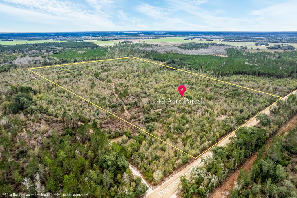 2 Pilgram Ch Road Gordon, AL 36343 - Photo 1 of 17